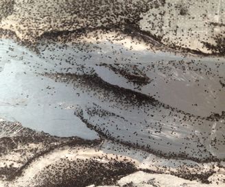 Earth XV, 90x120, mixed media on canvas (glass, paper, sand, spray, acrylic) - detail 1